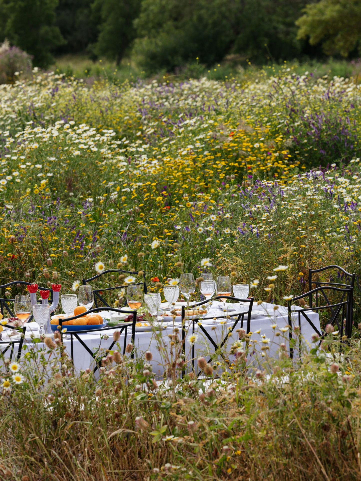 Countryside Brunch Experience