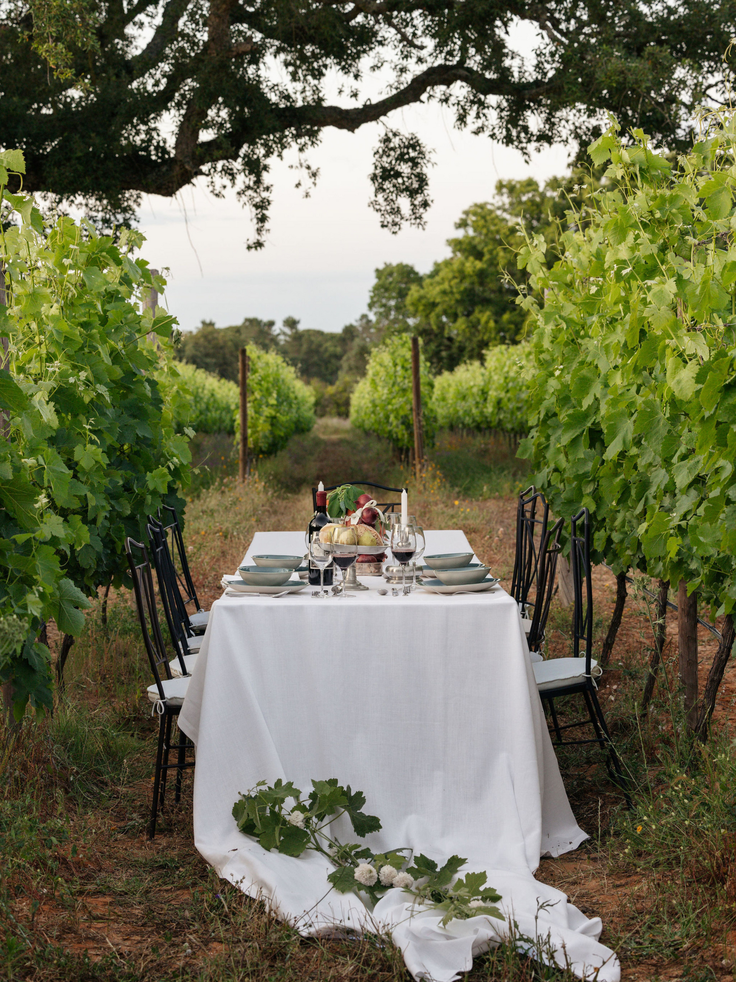 Dinner in the Vineyard