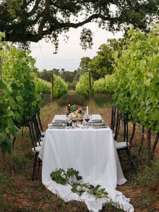 Dinner in the Vineyard